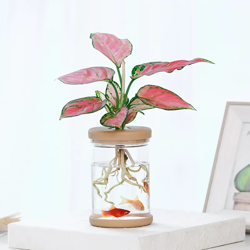 Прозрачная гидропонная ваза имитация стеклян