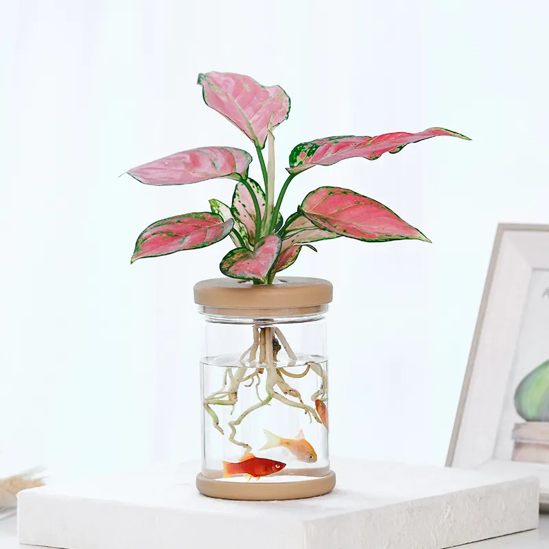 Vase hydroponique Transparent Imitation verre sans sol plantation en Pot plante verte résine Pot de fleur maison Vase décor