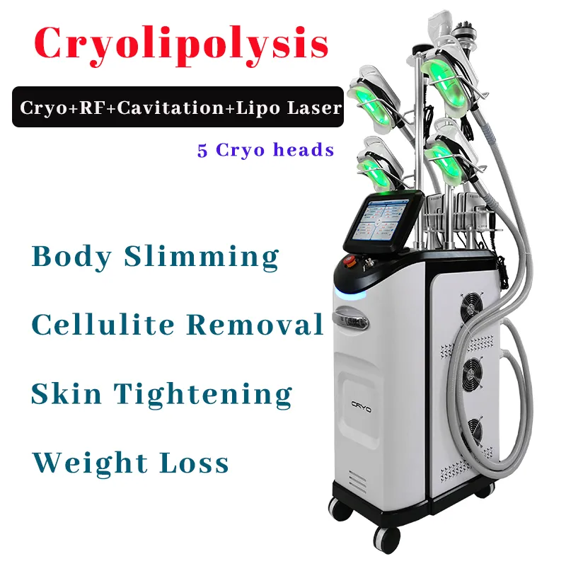 Vacuum Therapy Fat Freezing Cryolipolysis Slimming Machine Cryo Head Double Chin Removal Buttock Abdonimal Treatment 40k Cavitation Celullite Remover