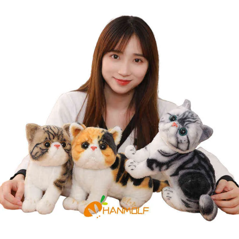 Cm Big Face Chats Poupée Couché Ours En Peluche Comme Un Vrai Chat Peluche Peluche Rayé Coloré Animal Sauvage Enfants Cadeau J220704