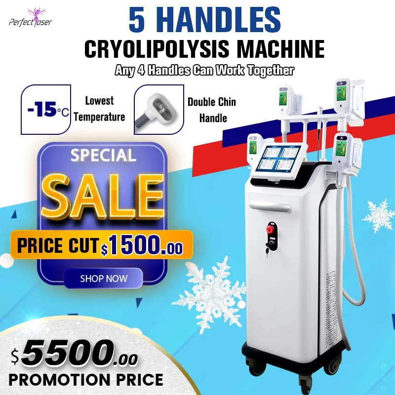 Kraftfull fettborttagning Cryolipolysis Machine Fat Freeze Slimming Machine Vakuum Fat Loss Video Training ger