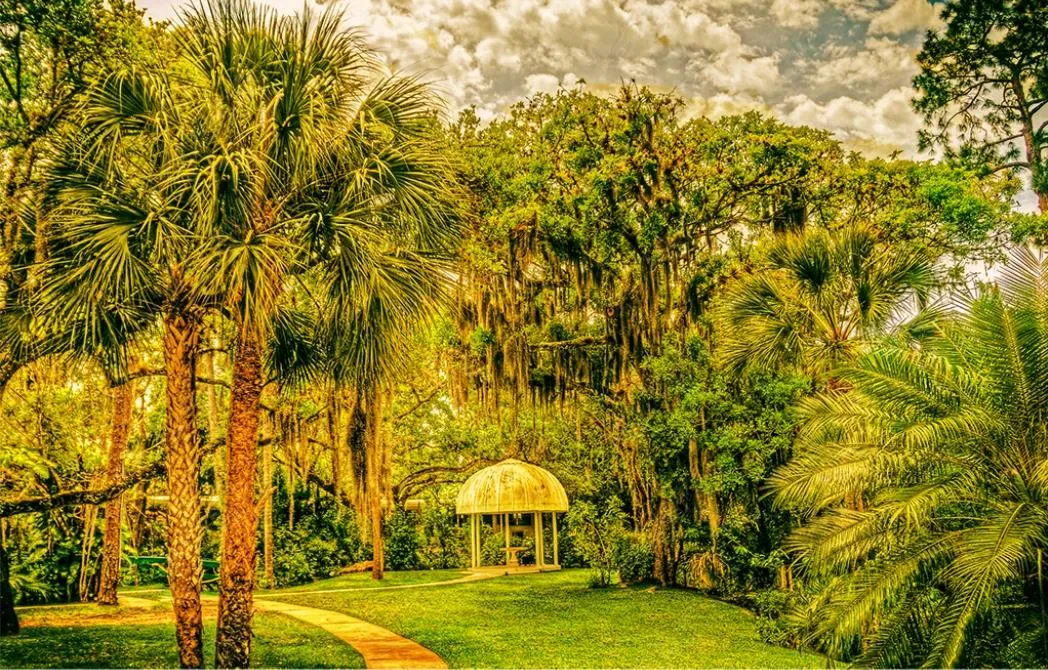 piante tropicali di legno vintage rotoli di sfondi murali per pareti soggiorno soggiorno soggiorno stereoscopico 3d fotografico decapatico muro