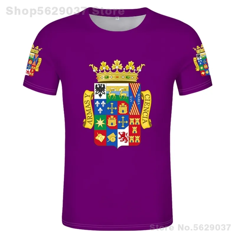 T-shirt con bandiera di Palencia T-shirt con nome personalizzato gratuito fai-da-te Spagna Bandiere provinciali Castiglia-Leon T-shirt con stampa bandiera spagnola 220702