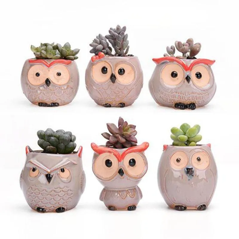 6 Pcs-set Mini Owl Flowerpot Plant Flower Pot Home Office Decor Planter Succulent Cactus Bonsai Plant Holder Garden decoration (4)