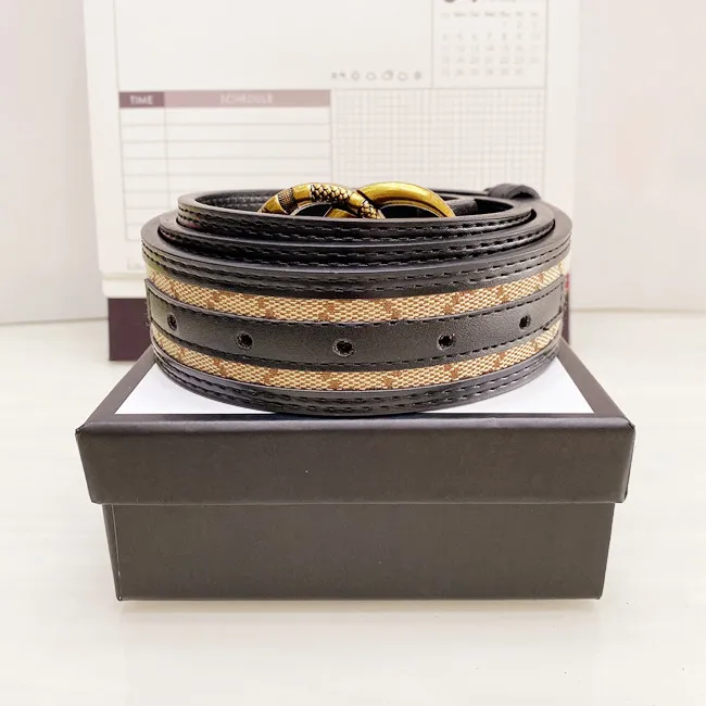 20 cor 2024 Menção Moda Belt Luxury Men Designers Women Jeans Belts Snake Big Gold Buckle Cintura Tamanho 90-125cm