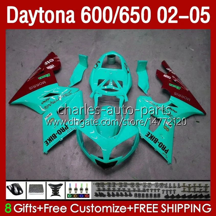 Kit bodywork per Daytona 650 600 cc 2002 2003 2004 2005 Body 132No.94 Cowling Daytona650 Light Cyan 02-05 Daytona600 Daytona 600 02 03 04 05 ABS Motorcycle Fairing