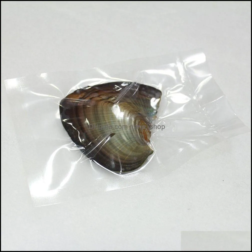 2019 DIY 6-7mm Freshwater akoya oyster with Single pearl Mixed 25 color Top quality Circle natural pearl in Vacuum Package For Jewelry