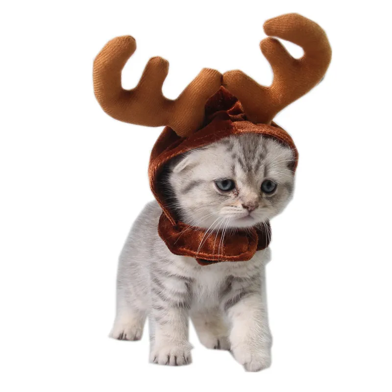 Chien chat chapeau en peluche réglable Elk Antler casquette noël beaux chapeaux pour chien chat chapeaux décoration de noël fournitures pour animaux de compagnie