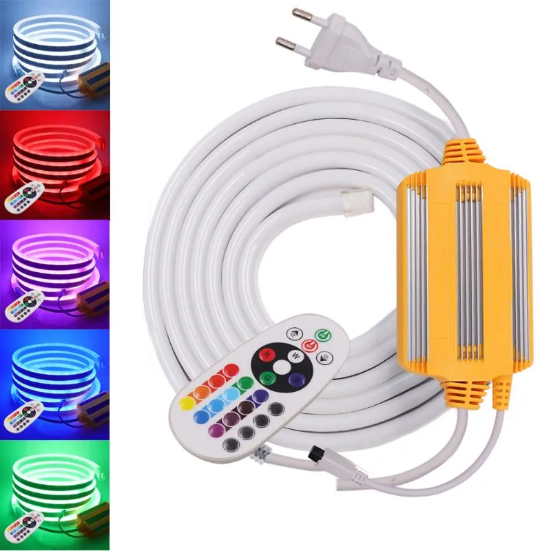 Paski LED RGB Neon Light Elastyczna rurka paska 120LEDS/M WODY ODPODNIONA ROPE 24KEY IR 1500W kontroler TIRAS LED Stripsled