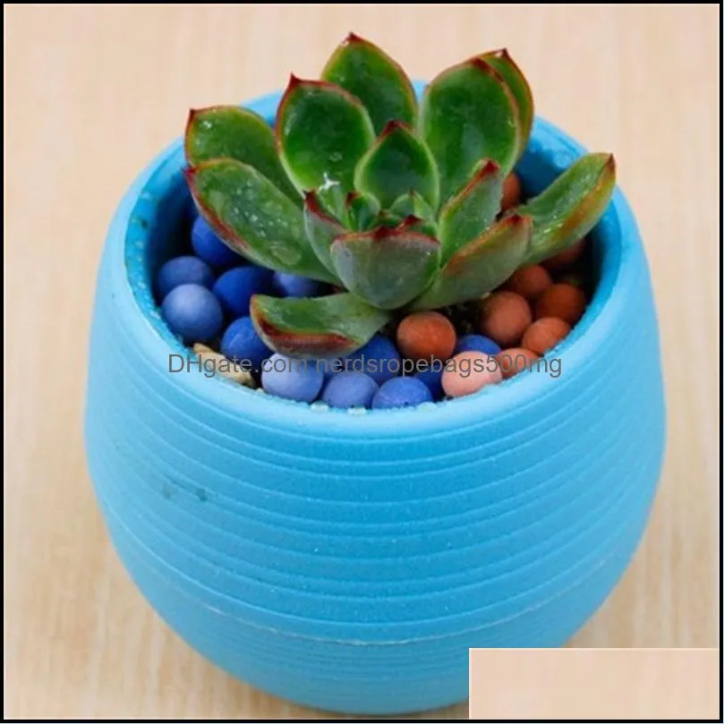 2017 NEW Planter Pots Recycled Plastic Pots Perfect for Succulents Strong, Reusable Plant Flower Herb Bed Pot 573 R2