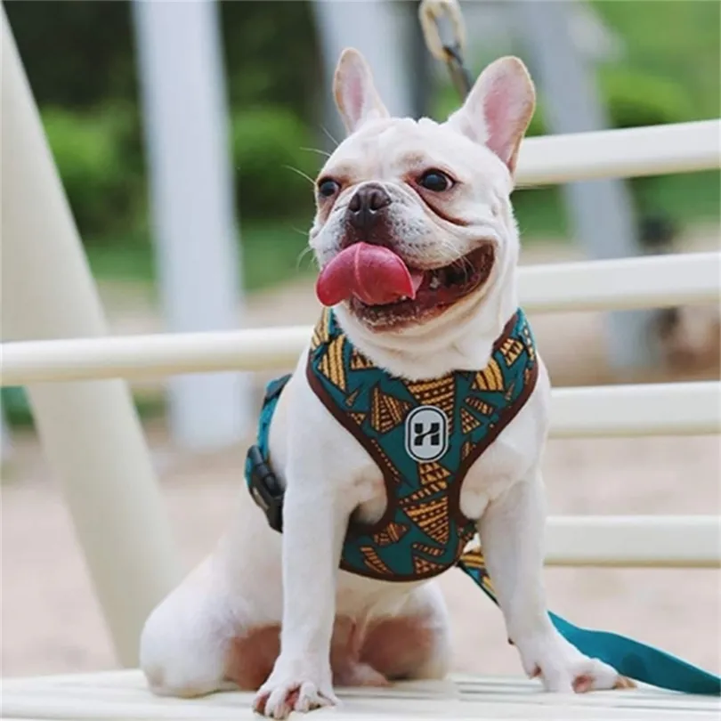 Nylon Dog Cat Harness Printed French Bulldog Harness Puppy Small Dogs Harnesses Vest for Chihuahua Yorkshire Walking Training 201102