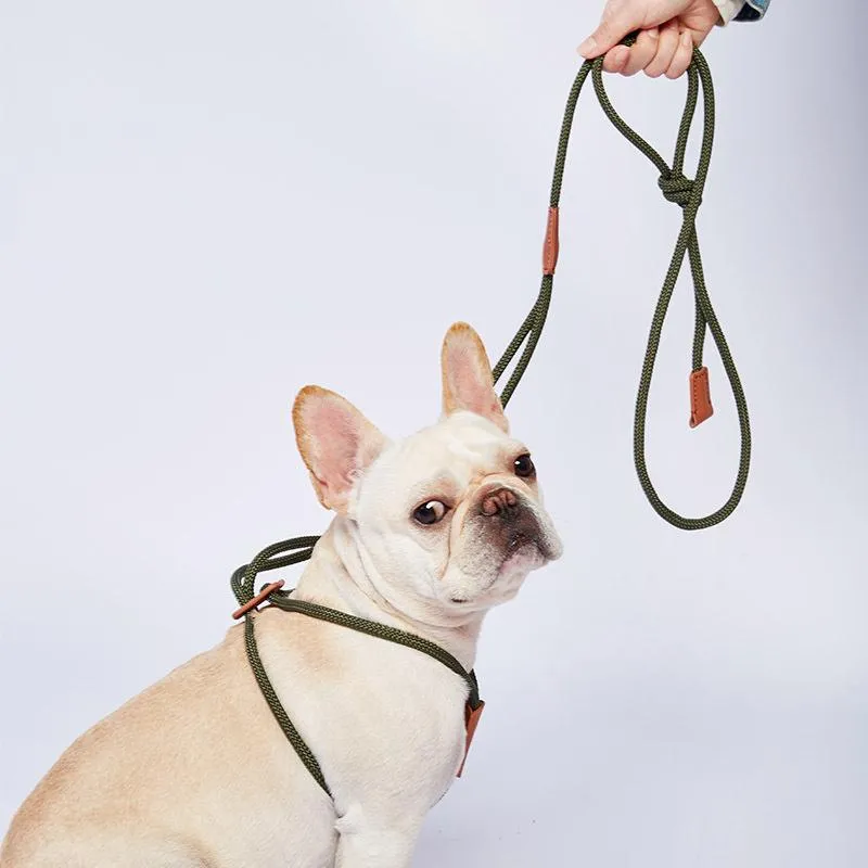 Hundhalsar kopplar sele koppel nylon husdjur rep för medelstora stora hundar leder träning körning gå säkerhet bergsklättring stor seledo