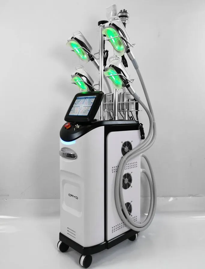 Máquina de lip da máquina de gravação criogênica de gordura 360 de gordura