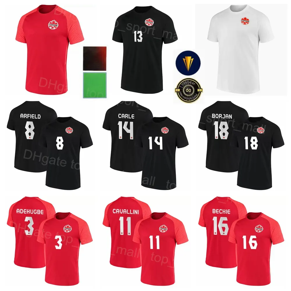 Maillot de soccer de l'équipe nationale du Canada 22-23 Coupe du monde 13 HUTCHINSON 17 LARIN 19 DAVIES 20 DAVID 9 CAVALLINI 14 KAYE 10 HOILETT 11 BUCHANAN Kits de maillots de football Rouge Blanc