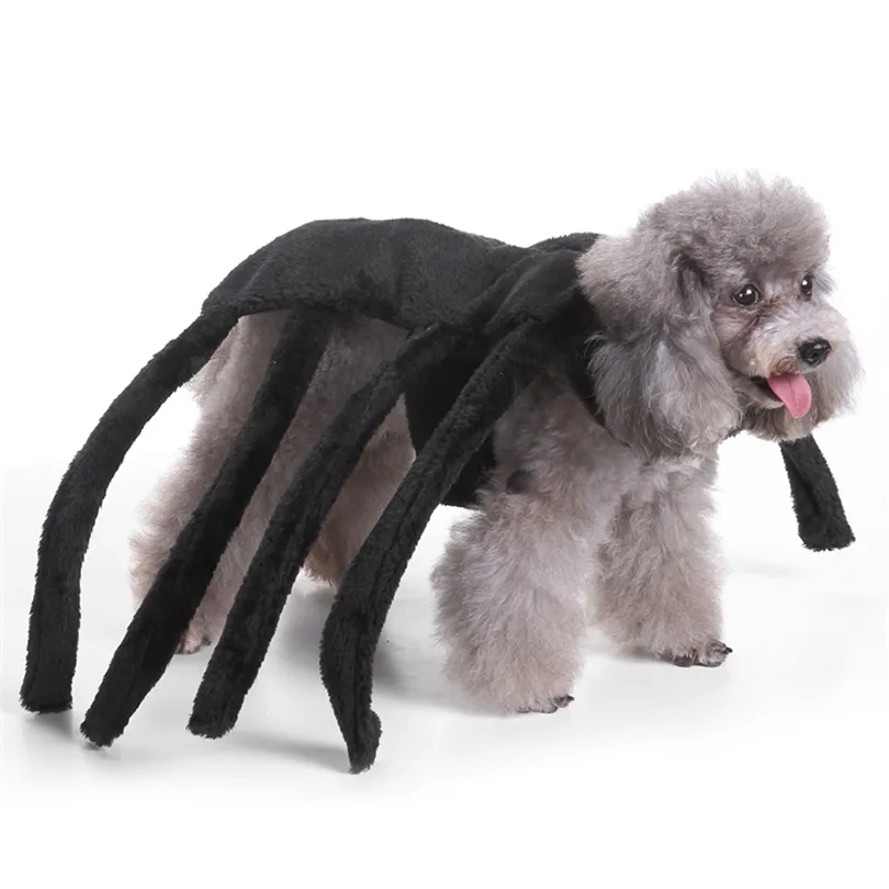 Halloween Haustier Hund Kostüm Kleidung Große Spinne Kostüm Kleidung Für Hunde Chihuahua Kleidung Haustier Produkt Kleidung Für Roupa para 201111