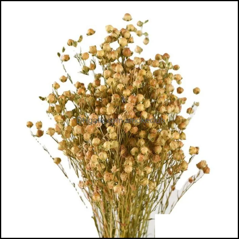 Decorative Flowers & Wreaths Natural Dried Bouqet Acacia Beans Gold And Silver Arrangement In Vase For Decoration DIY Wedding Home Wall