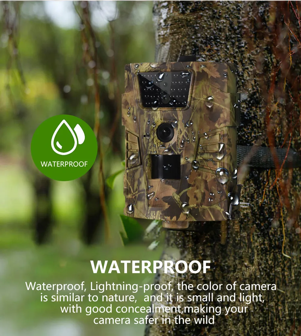 Hc200 trail camera cheap