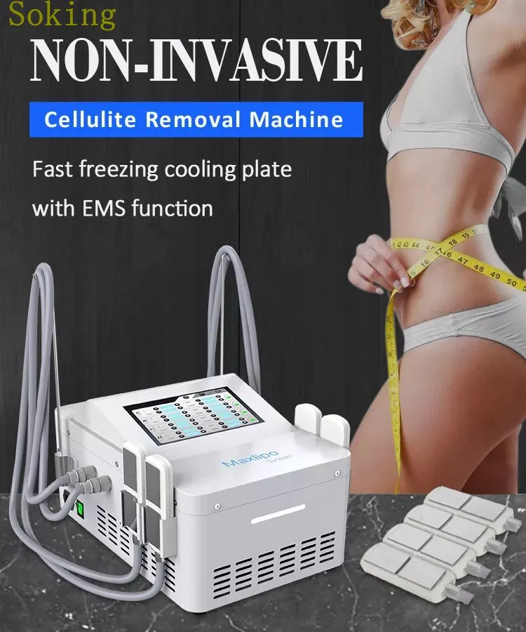 EMS Cryolipolysis Machine Machine Cool Body Sculpting Оборудование