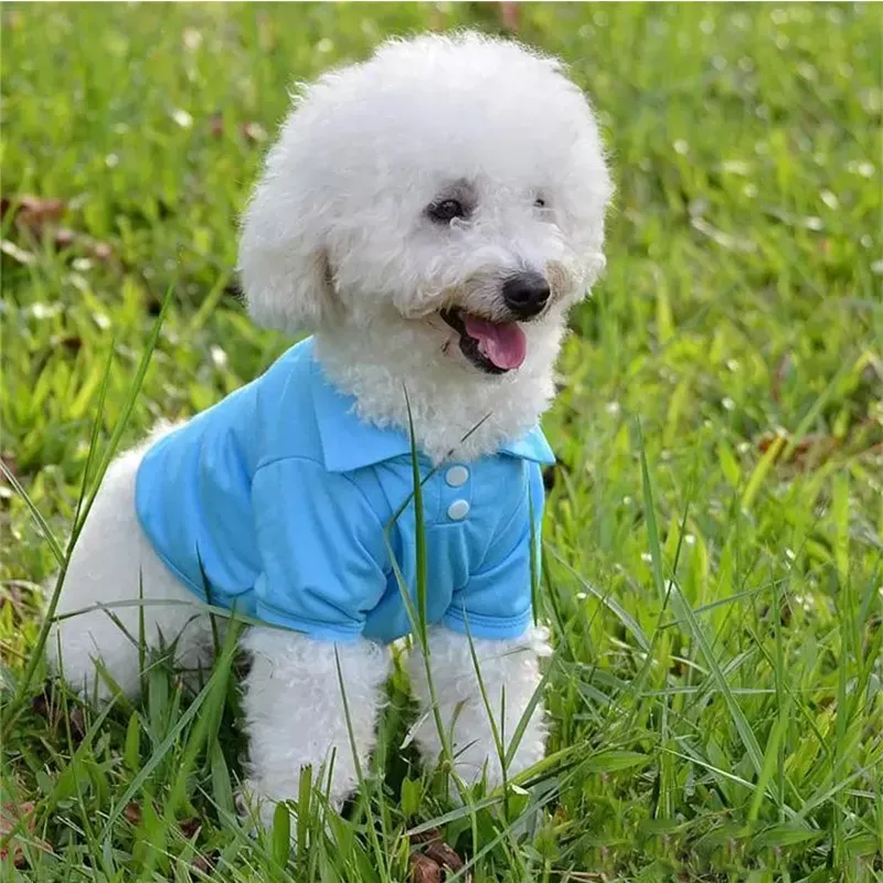 Moda Cão Vestuário Primavera Verão Colorido Pet Clothings Padrão Material Pequeno Pet Polo Camisas