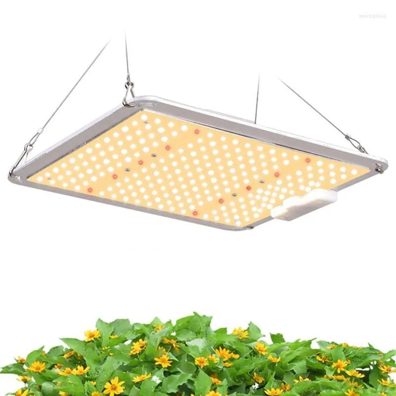 Grow Light Led Light 1000 Вт для внутреннего гидропонического роста с обновленными 218 светодиодами Dimmer Thermometer Hygrometer Timergrow