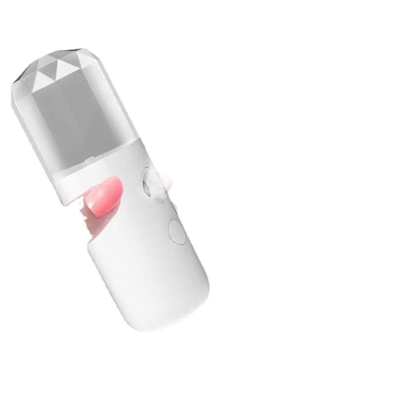 USB Beauty Facial Sprayer Facial Steamer Nano Mist Moisturizing Face Skin Care Beauty Instrument Pure Water Alcohol Milk Availab
