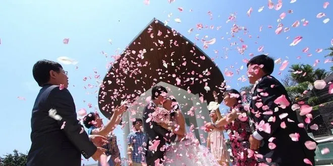 Petali di rosa di seta artificiale Petali di nozze Fiori Decorazioni feste Ghirlande Oro Champagne i Accessori eventi 5 cm MIC 1323I