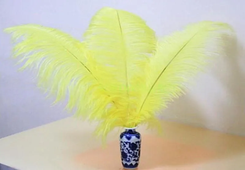 10pcs/lot White Ostrich Feathers, Decorations Feathers Vase