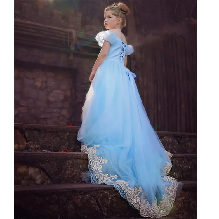long princess prom dress 2015 cinderella dress costumes cosplay lace embroidery dress cinderella ball gown for girls free shipping