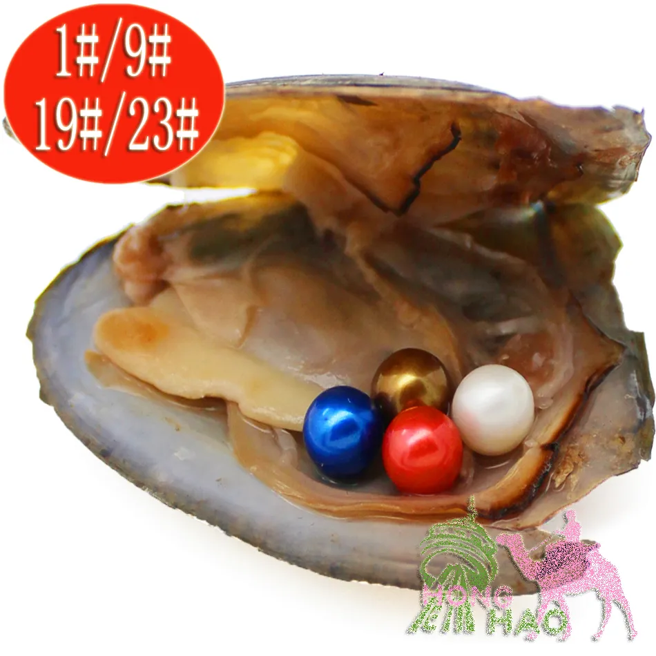 Emballage sous vide Oyster Wish Perles d'eau douce Coquille de perles Différent des perles Perles Couleur Perle Mystery Gift Surprise