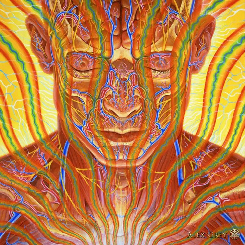 Trippy Alex Grey Wall Poster Print 24x24 13x13 Impresión Artística Para  Decoración Del Hogar Póster De Lienzo Psicodélico De 6,56 € | DHgate, image size:1000x1000