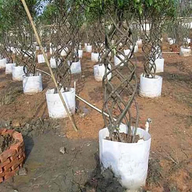 Reusable Round Non-woven Fabric Pots Plant Pouch Root Container Grow Bag Aeration Container Garden Supplies pot
