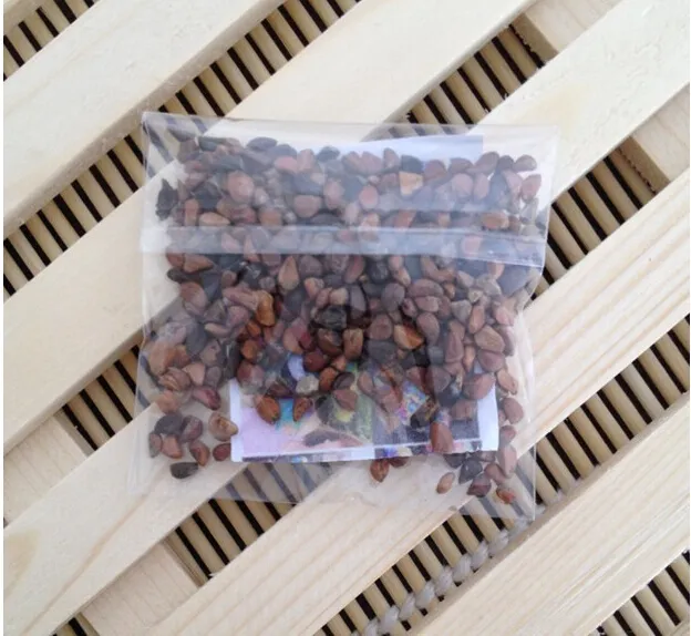 Creative Rainbow Rose Seeds Multi Colored Petal New And Beautiful Multi