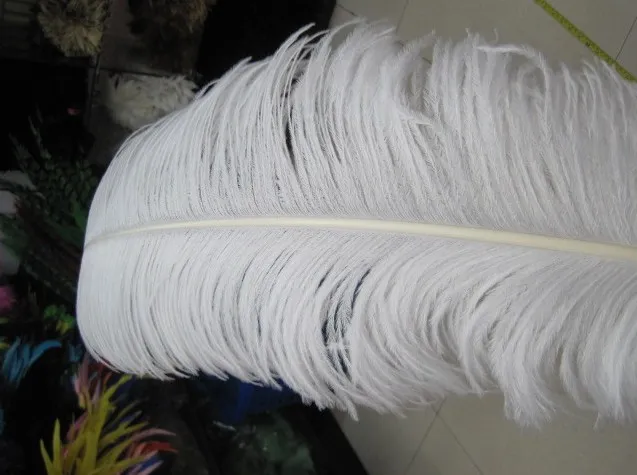 pure White Ostrich Feather Plumes 2628inch for Wedding Decoration wedding centerpiece party event decor1907931