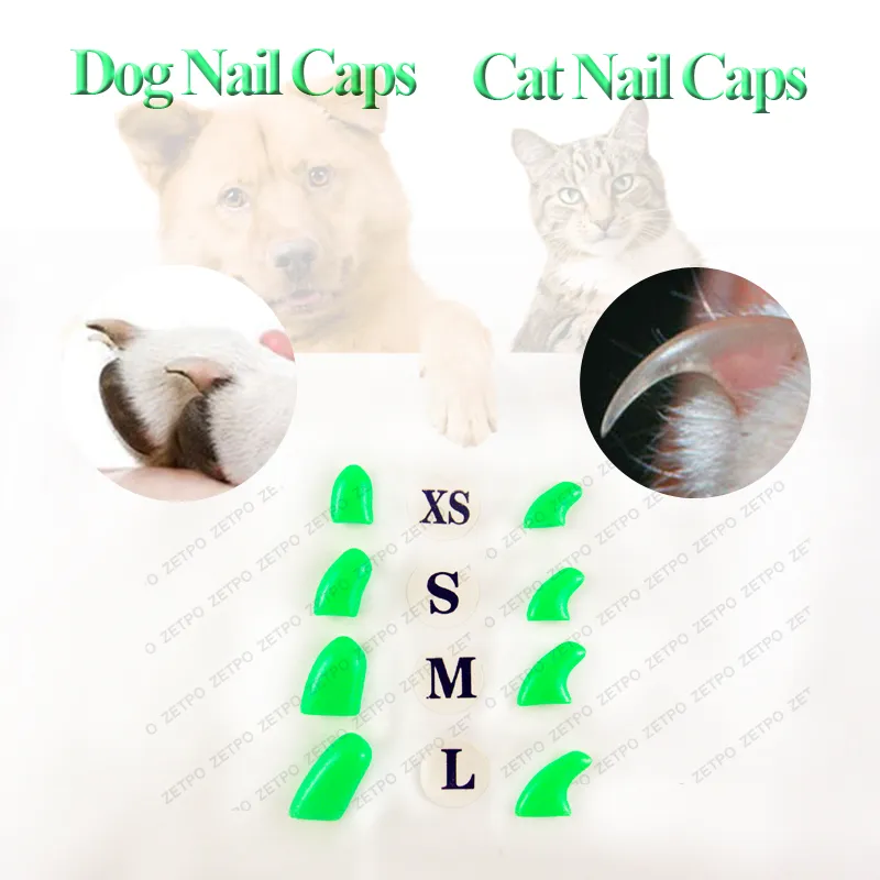 Purrdy Paws | Soft Nail Caps for Cats and Dogs