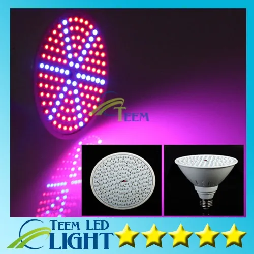 Le plus récent éclairage hydroponique 85-265V 15W E27 ROUGE BLEU SMD 126 LEDS Hydroponique LED Flowering Plant Grow Lights led ampoule LED lampe 20