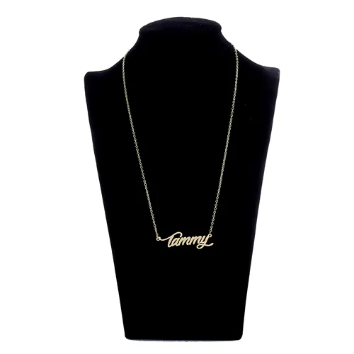 Tammy Script font Name Necklace custom personalized for men Tag Stainless Steel Gold and Silver Nameplate Necklaces Jewelry Gift ,NL-2400