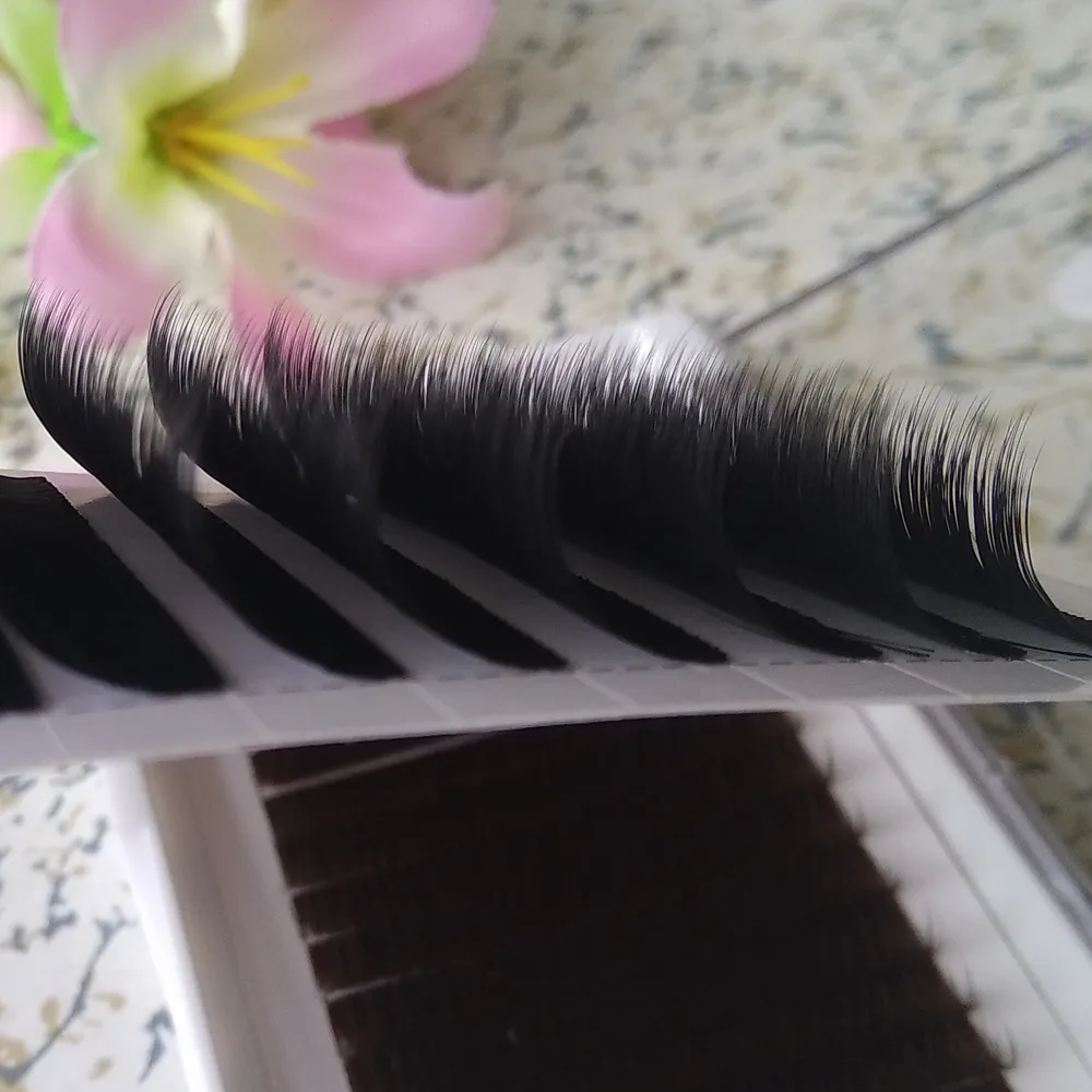 Extensions de cils à volume réel Ventilateurs mixtes Lash Eyelashes 3D-6D 12 rangées / plateau 0,07 Easy Fan cils Youcoolash Factory Big Promotion