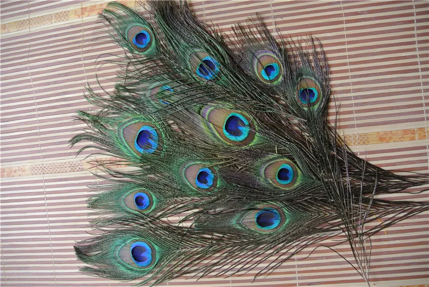 Najwyższej jakości Peacock Feather Piękny naturalny 1012 cali dostaw imprezy1302028