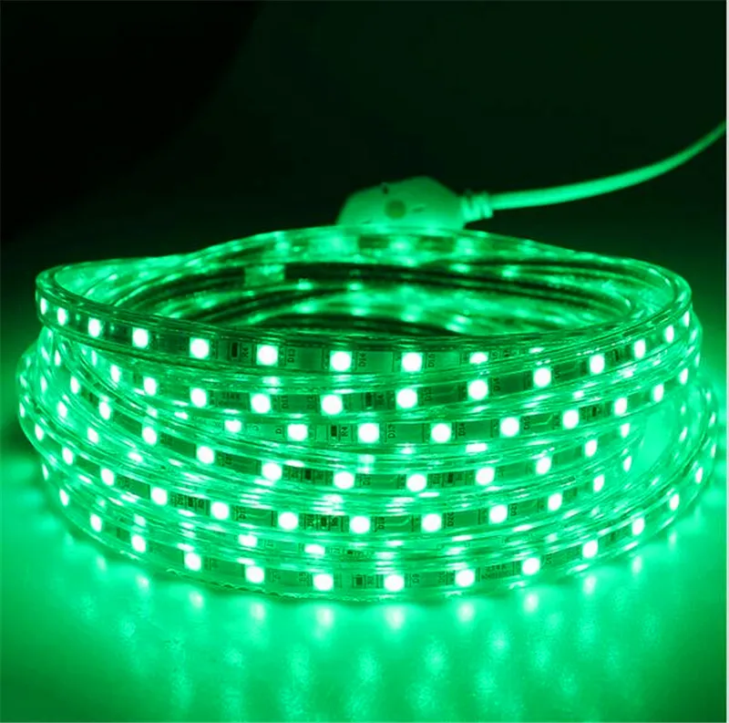 100m 110V 220 V LED Strips SMD 5050 LED Touw Licht IP67 Flex LED Strip Lights Outdoor Lighting String Disco Bar Eetcafé Kerstfeest