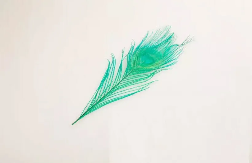 Colorful Peacock Feathers Eyes 8-10" For Wedding Craft For Choose