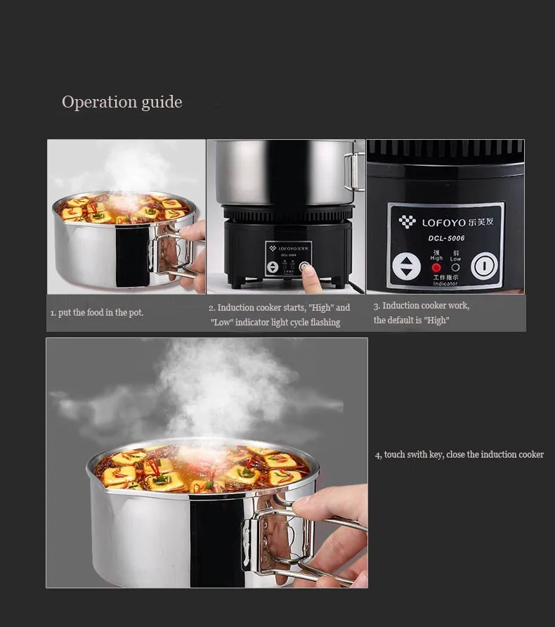 0.9L Global General Mini Induction Cooker 110 240V Portable Universal Travel Electric Cooker For