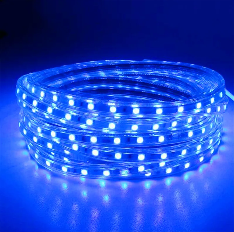 100m 110V 220V LED-remsor SMD 5050 LED-rep Ljus IP67 Flex LED Strip Lights Outdoor Lighting String Disco Bar Pub Christmas Party