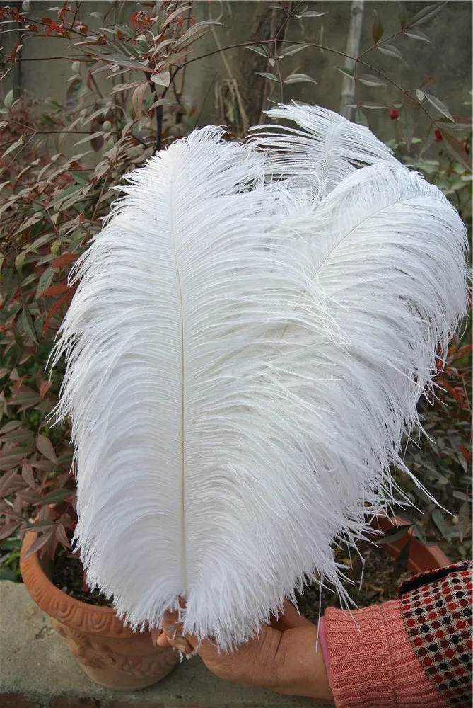 Plumes d'autruche blanches, 100 pièces, 1618 pouces, 3540cm, pour pièce maîtresse de mariage, décor d'événement, fête de mariage, festiv3125789