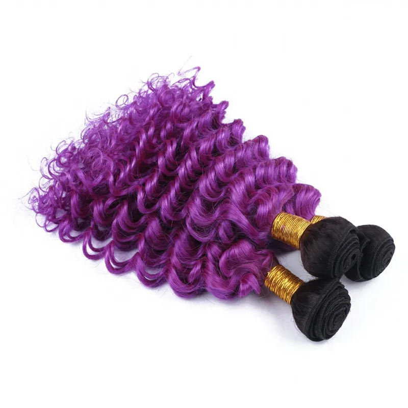 ブラジルのオムレ紫色の処女の人間の髪の伸びの深い波の暗い根1b紫色のオムレのバージンレミー人間の髪の毛織り束3本のポインズ