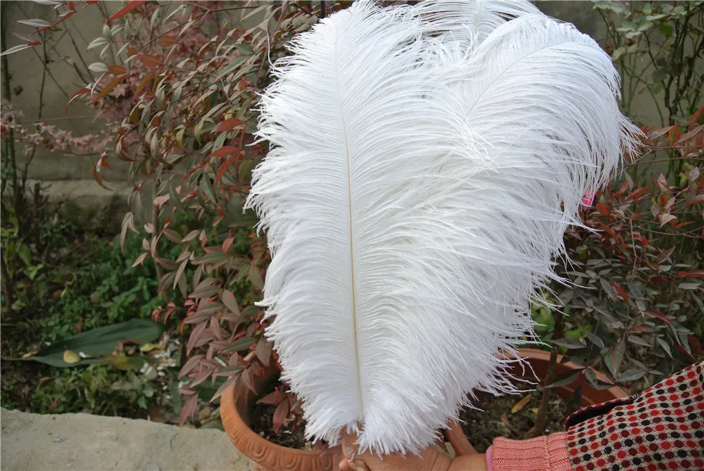 Plumes d'autruche blanches, 100 pièces, 1618 pouces, 3540cm, pour pièce maîtresse de mariage, décor d'événement, fête de mariage, festiv3125789