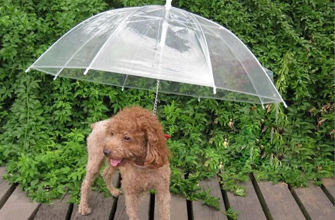 Coole dierbenodigdheden Handige transparante PE huisdierparaplu Kleine hondenparaplu Regenkleding met hondenriemen Houdt huisdier droog Comfortabel in de regen6376817