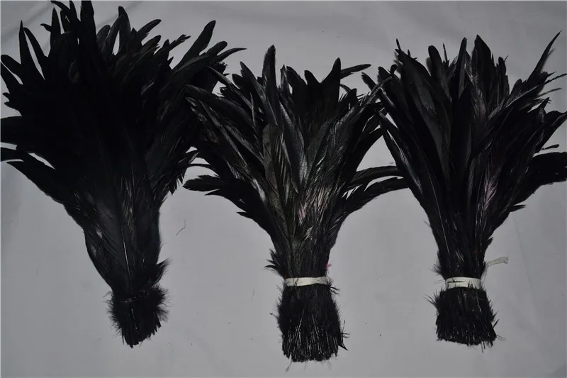 Wholesale 12-14inch black Coque feather rooster tail Feather cock feather for Costumes