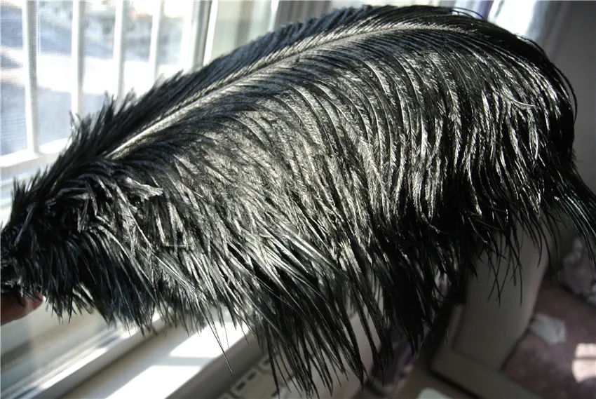 1820INCH BLACK OSTRICH FEATHER PLUMES FOR WEDDING CENTERPIECE DECOR PARTY TABLE DECOR5045361
