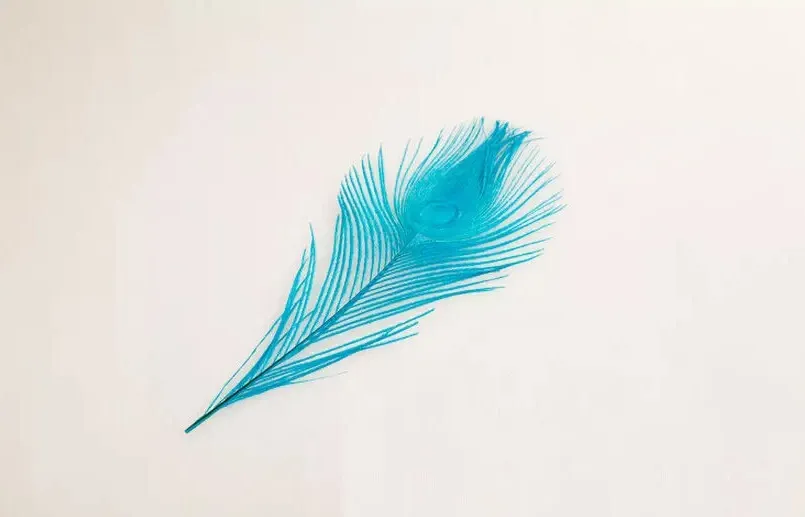 Colorful Peacock Feathers Eyes 8-10" For Wedding Craft For Choose