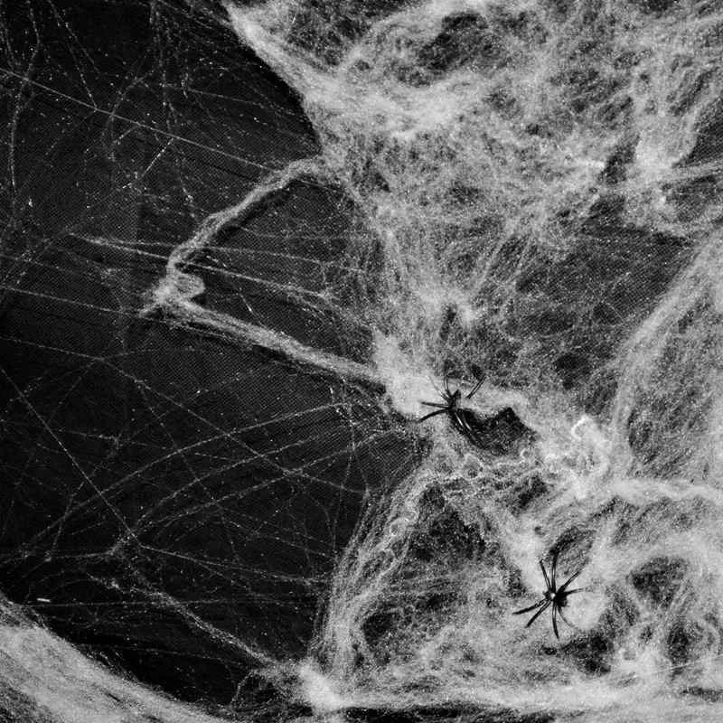 Feestelijk spinnenweb Halloween-decoratie Evenement Bruiloft Feestartikelen Benodigdheden Spookhuis Prop Decoratie A Large Met 2 spinnen 4672470